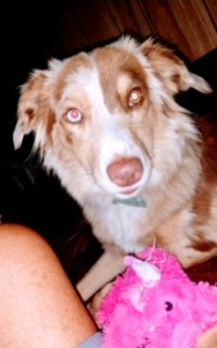 Addie